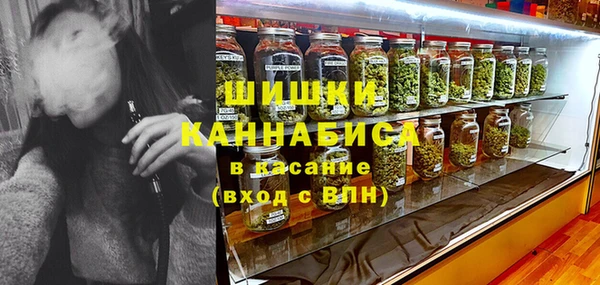 ПСИЛОЦИБИНОВЫЕ ГРИБЫ Аркадак