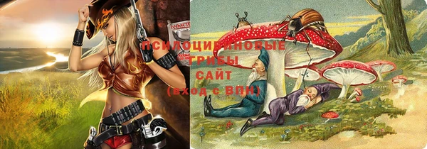 ПСИЛОЦИБИНОВЫЕ ГРИБЫ Аркадак