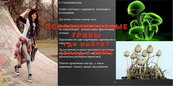 ПСИЛОЦИБИНОВЫЕ ГРИБЫ Аркадак