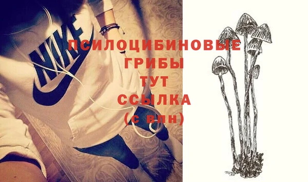 ПСИЛОЦИБИНОВЫЕ ГРИБЫ Аркадак