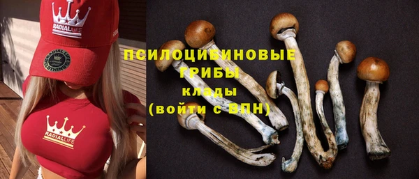молекула духа Армянск