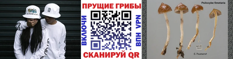 Псилоцибиновые грибы MAGIC MUSHROOMS  Купить  Бугуруслан 